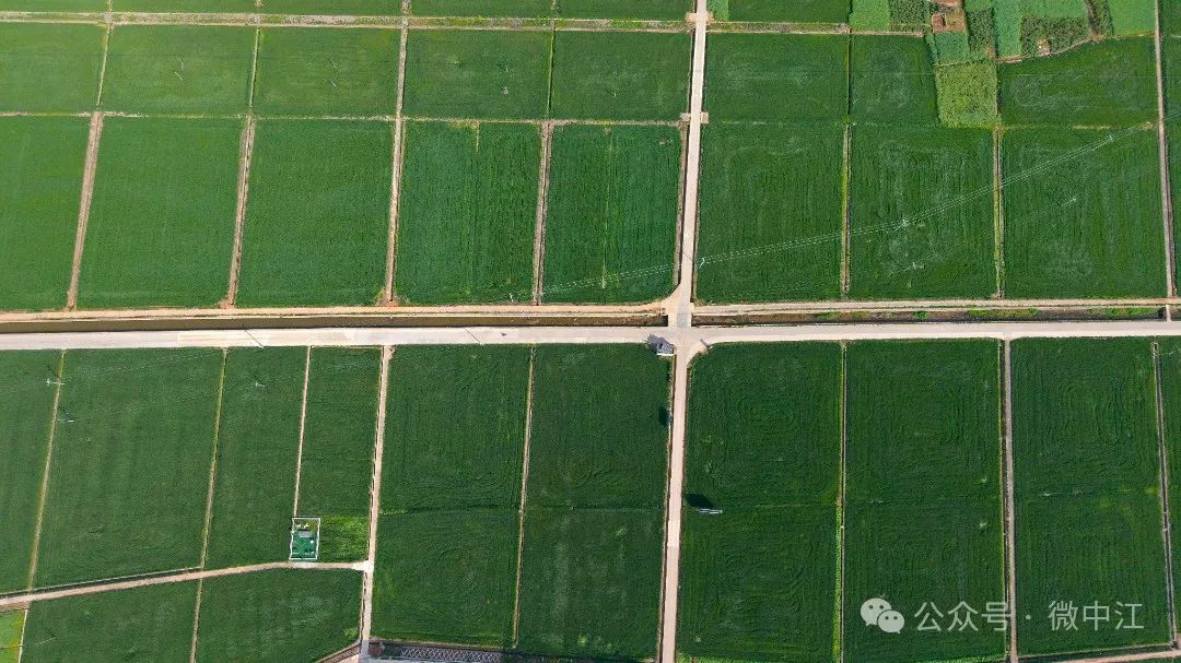 1747272558351084281.jpg 1747272558351084281.jpg